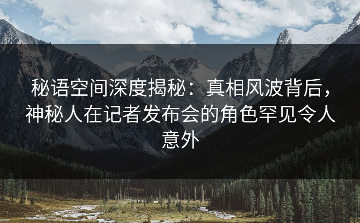秘语空间深度揭秘：真相风波背后，神秘人在记者发布会的角色罕见令人意外