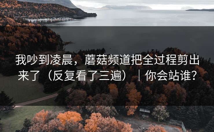 我吵到凌晨，蘑菇频道把全过程剪出来了（反复看了三遍）｜你会站谁？