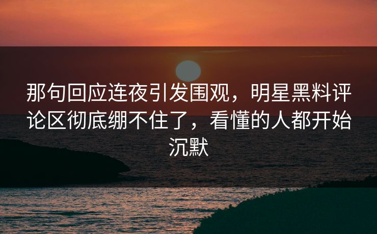 那句回应连夜引发围观，明星黑料评论区彻底绷不住了，看懂的人都开始沉默